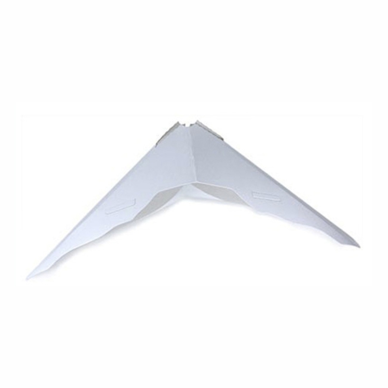 White paper airplane model with a distinct triangular shape, demonstrating basic aerodynamic design principles for educational purposes.